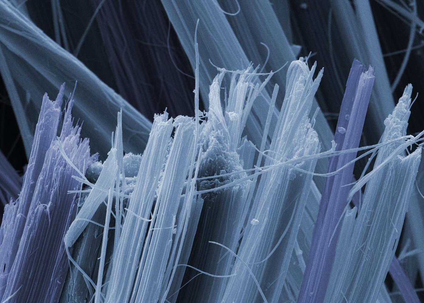 Graticules for Asbestos Analysis