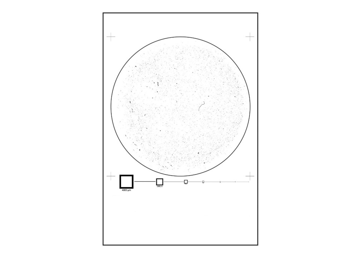 New Reference Slide for Particle Analysis