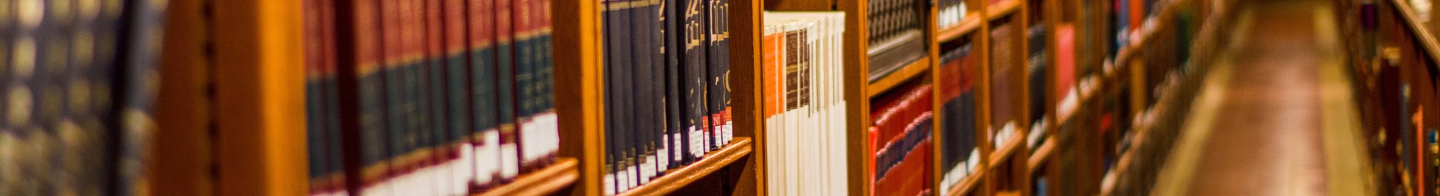 libary_adobestock_206433907.jpeg
